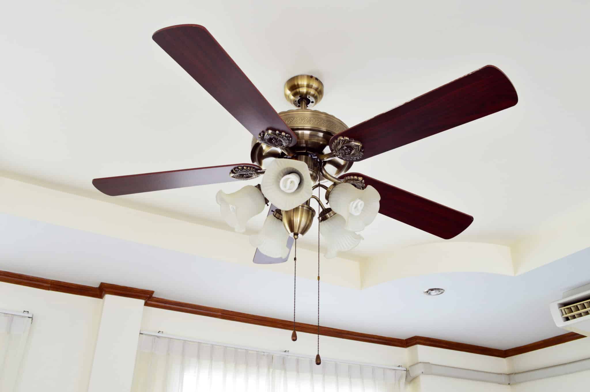 Ceiling fans.